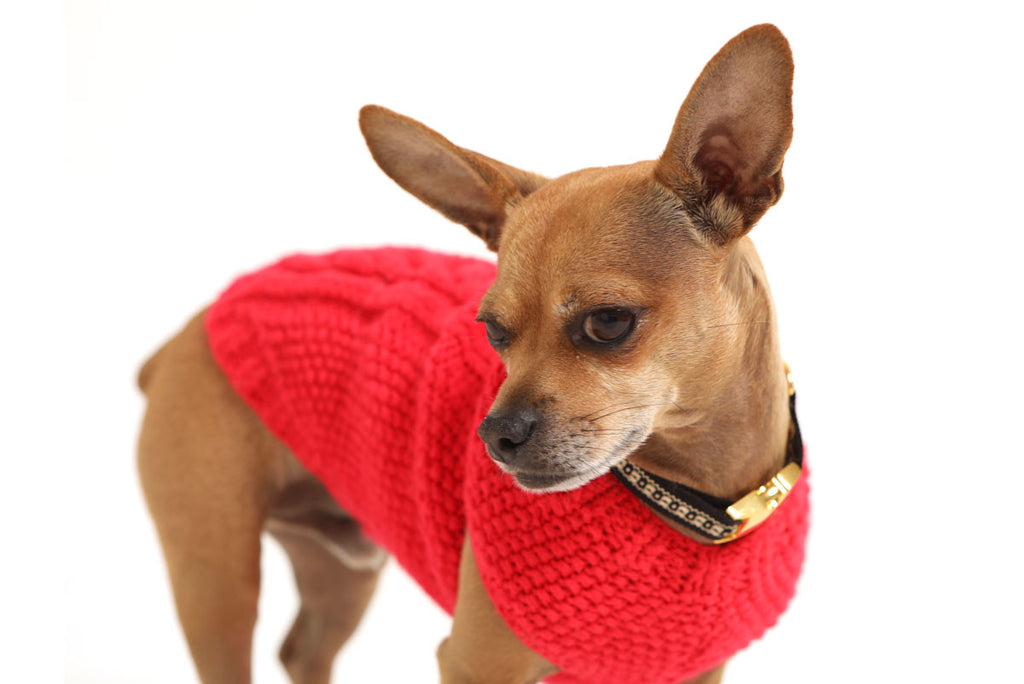 Casa de Micho Solid Knit Sweater