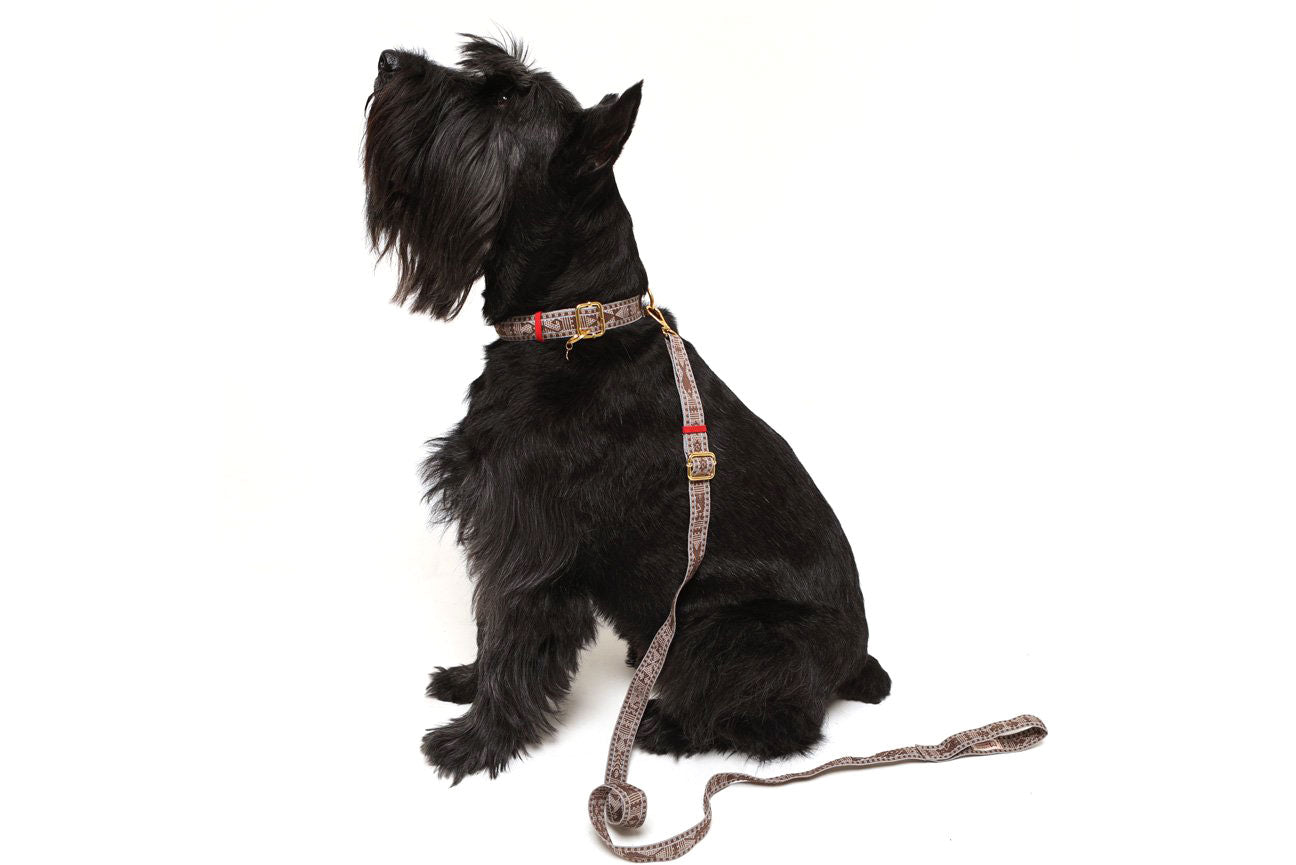Feather & Bead Southwestern Designer Dog Leash - 'Chama