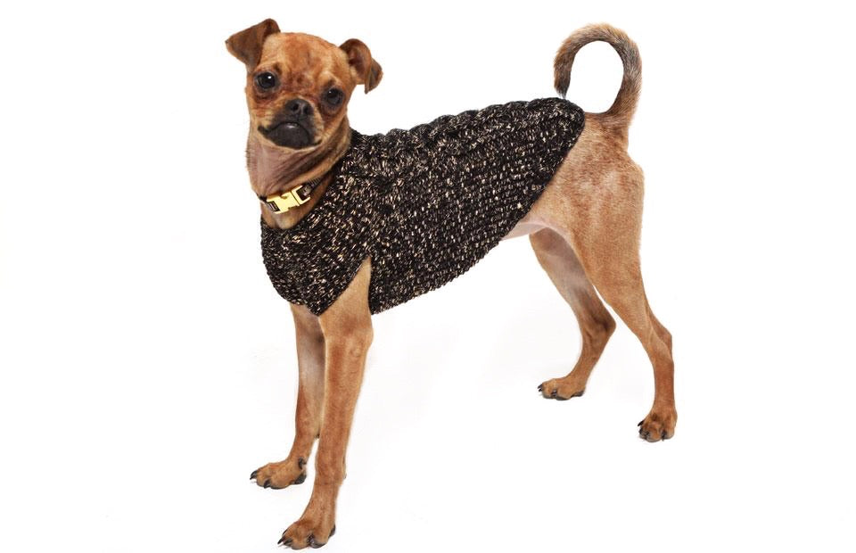 Black and Gold Disco Dog Sweater