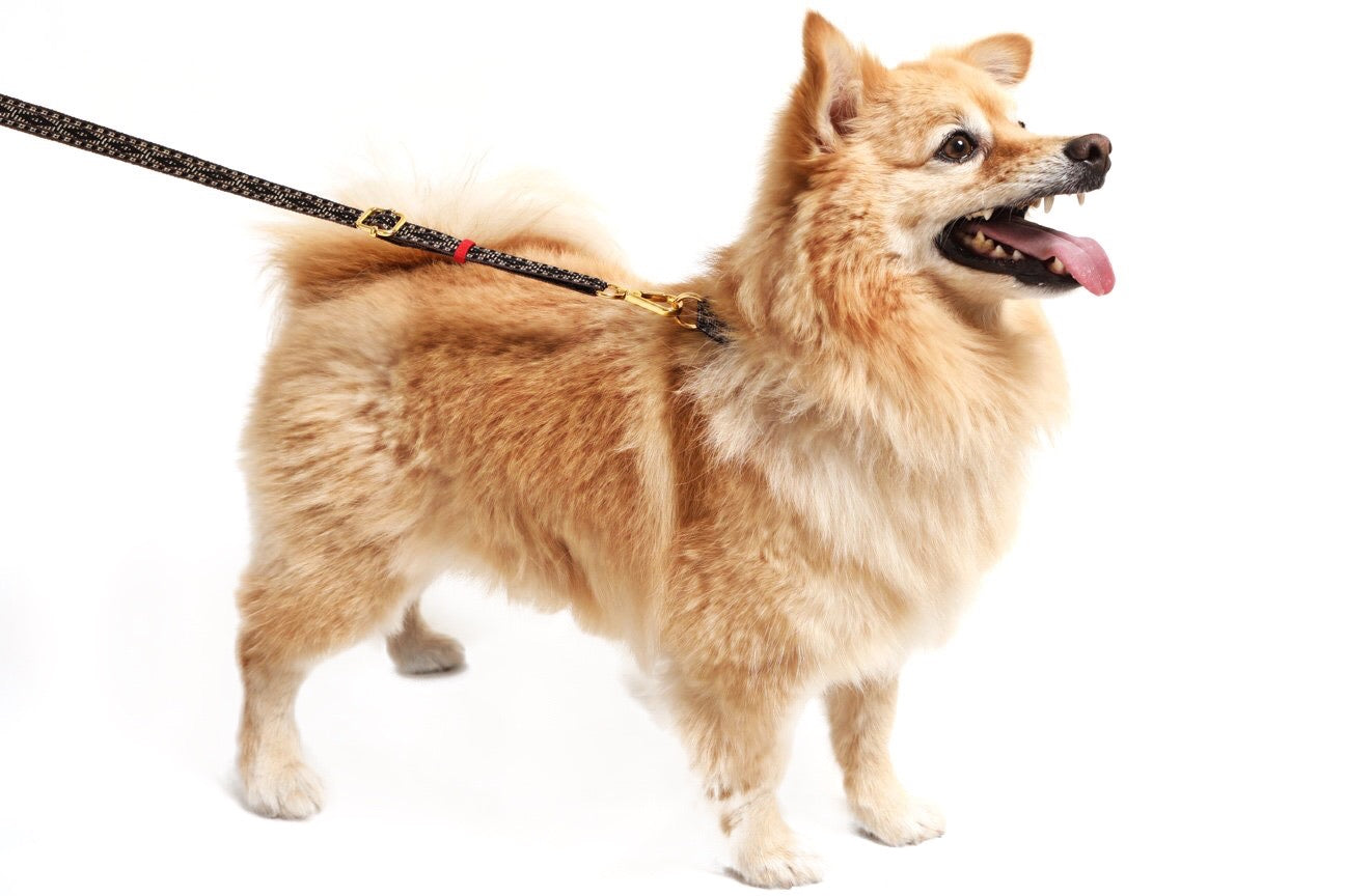 Artisan Woven Dog Leash Medium